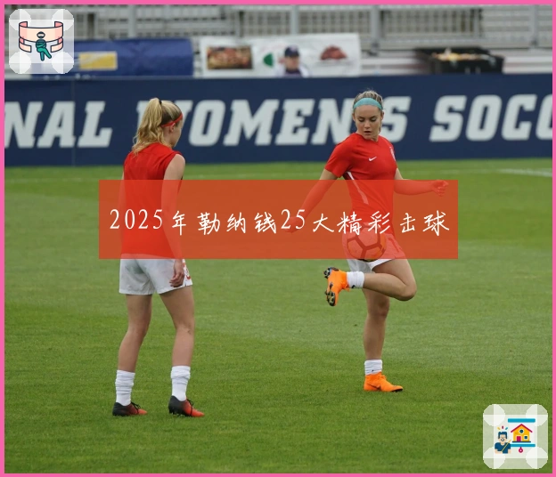 2025年勒纳钱25大精彩击球