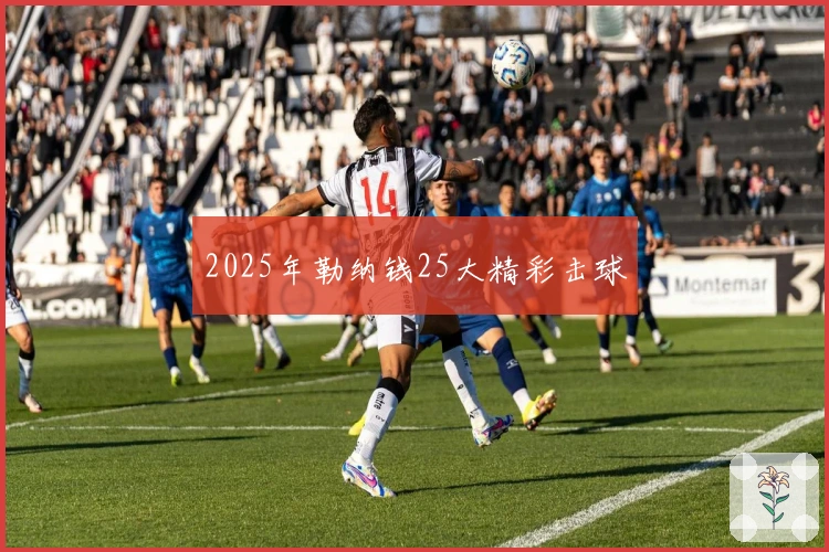 2025年勒纳钱25大精彩击球